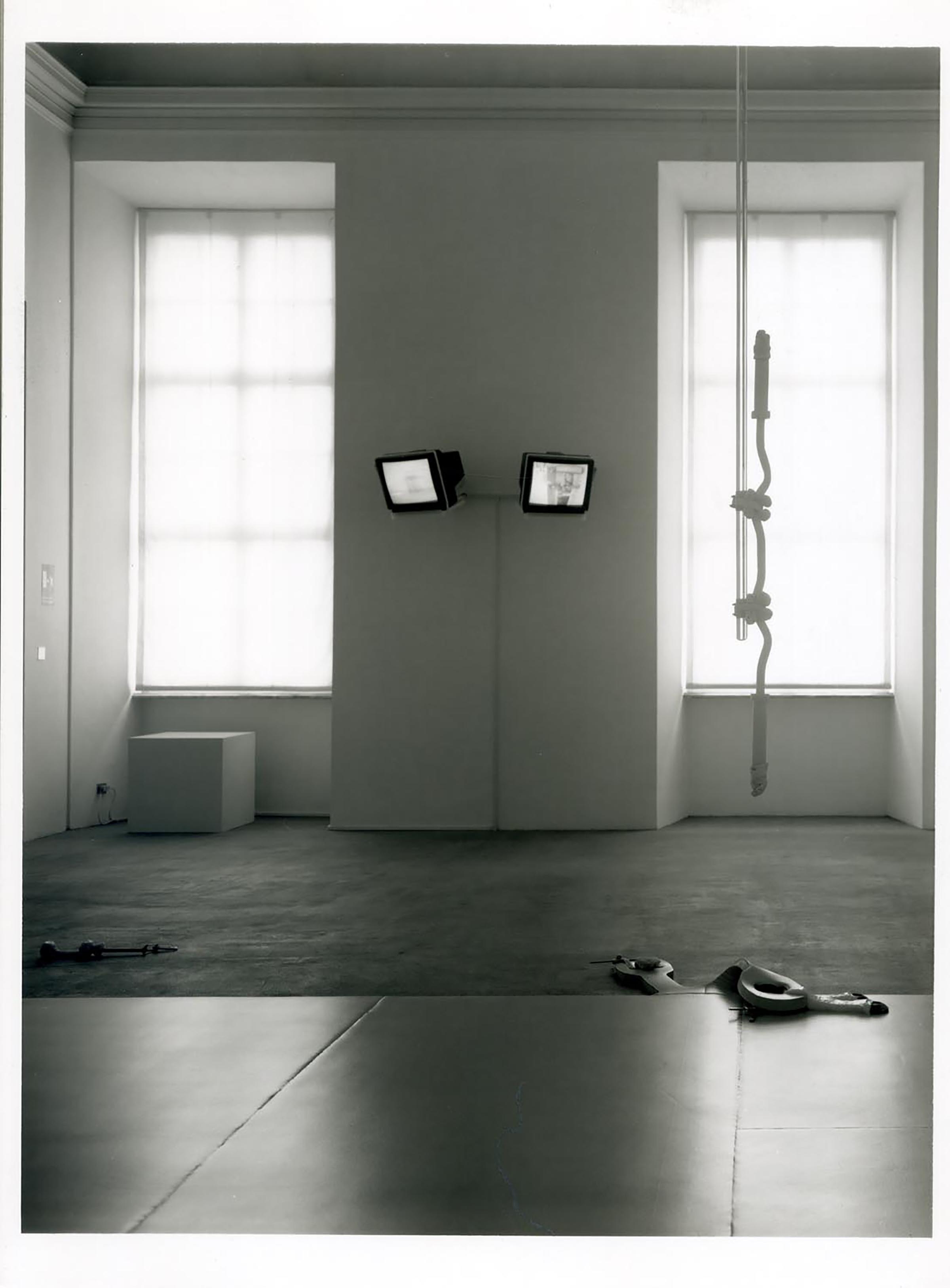 Matthew Barney, Repressia (Decline), 1991